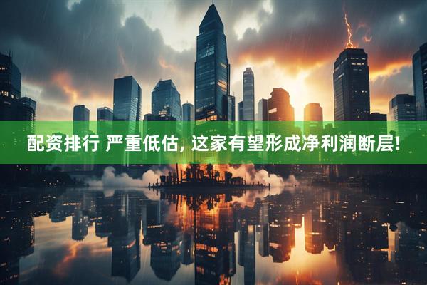 配资排行 严重低估, 这家有望形成净利润断层!