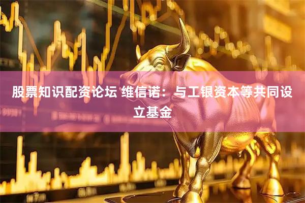 股票知识配资论坛 维信诺：与工银资本等共同设立基金