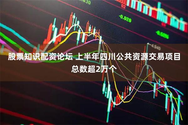 股票知识配资论坛 上半年四川公共资源交易项目总数超2万个