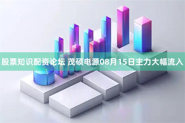 股票知识配资论坛 茂硕电源08月15日主力大幅流入