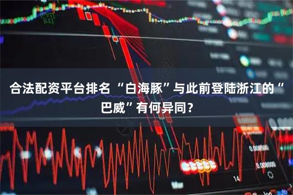 合法配资平台排名 “白海豚”与此前登陆浙江的“巴威”有何异同？
